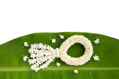 Tayland beyaz yasemin çiçeği çelengi