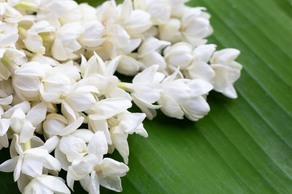 Thai white jasmine flower garland