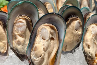 Buzlu midyeler. Taze deniz ürünleri.