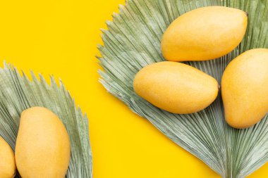 Tropik meyve, sarı arka planda mango..
