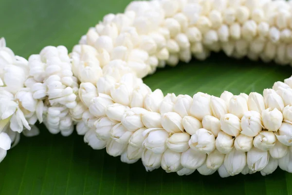 Thai White Jasmine Flower Garland — Stock Photo, Image