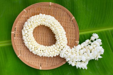 Tayland beyaz yasemin çiçeği çelengi