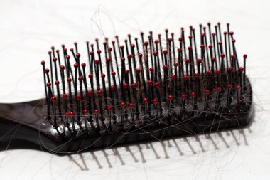 Beyaz arka planda saç dökülmesi.