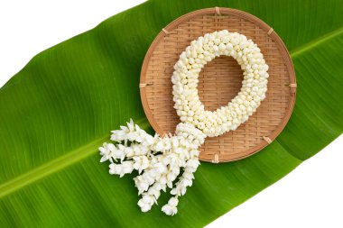 Tayland beyaz yasemin çiçeği çelengi