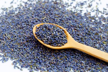 Beyaz arka planda kurutulmuş lavanta çiçekleri.