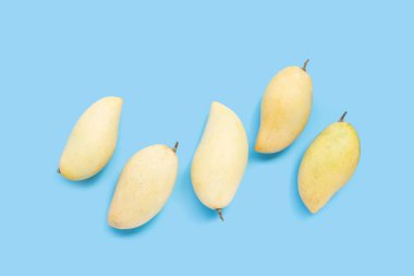 Tropik meyve, mavi arka planda mango. Üst görünüm