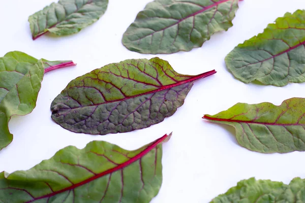 stock image Swiss chard on white background. Baby leaf swiss chard