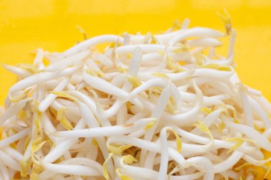 Sarı arka planda fasulye filizleri