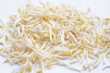 Beyaz Arkaplanda Fasulye Filizleri