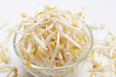 Beyaz Arkaplanda Fasulye Filizleri