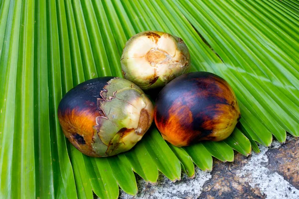 Toddy palm fruit or palmyra palm