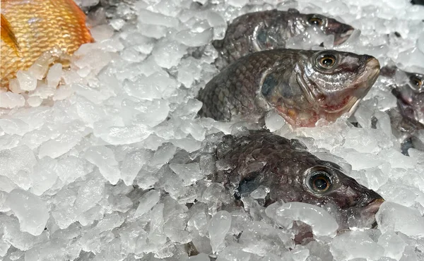 Fresh fish on ice at market
