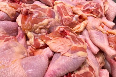 Pişmemiş tavuk eti. Çiğ tavuk budu.
