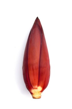 Beyaz arkaplanda muz çiçeği