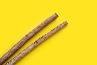 Sarı arkaplanda Burdock Kökü (Gobo).