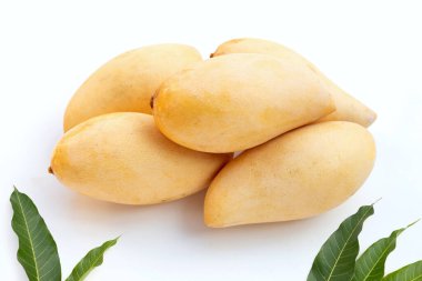 Olgun sarı mango meyveleri