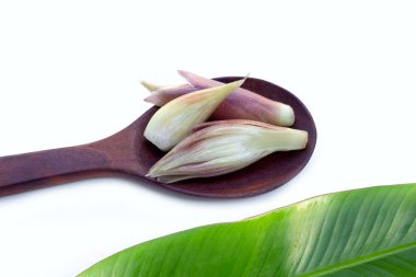 Beyaz arka planda taze myoga.