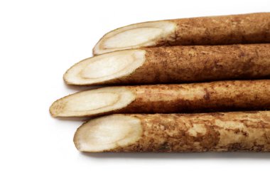 Beyaz arkaplanda Burdock Kökü (Gobo).