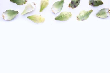 Fresh artichoke petals on white background