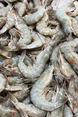 Buzda taze deniz gömleği. Deniz ürünleri pazarı