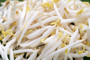 Muz yaprağında fasulye filizleri