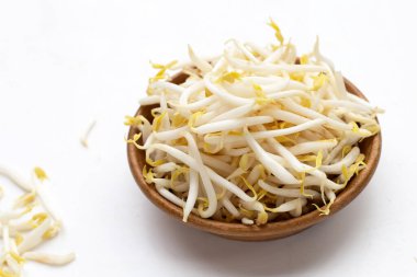 Beyaz Arkaplanda Fasulye Filizleri