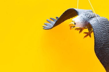 Kuş kovucu için sahte kartal