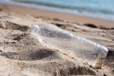 Plastik şişe sahilde