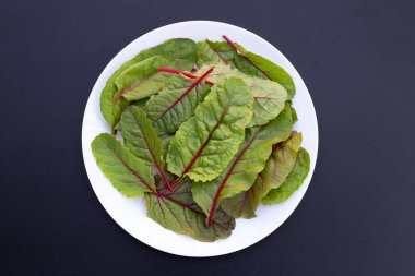 Taze İsviçre pazı yaprakları. Bebek yaprağı İsviçre pazarı