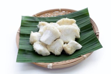 Beyaz arka planda taze aslan yelesi mantarı. (Yamabushitake Mantarı)