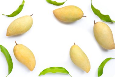 Tropik meyve, beyaz arka planda mango. Üst görünüm