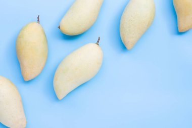 Tropik meyve, mavi arkaplanda mango..