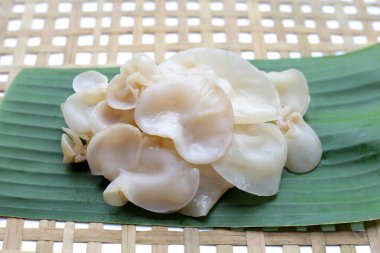 Beyaz jöle mantarı ya da beyaz kulak mantarı