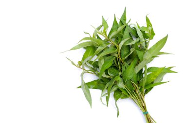 Vietnam kişniş yaprakları beyaz arka planda.