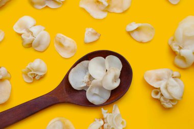 Beyaz jöle mantarı ya da beyaz kulak mantarı