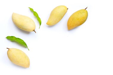 Tropik meyve, beyaz arka planda mango. Üst görünüm