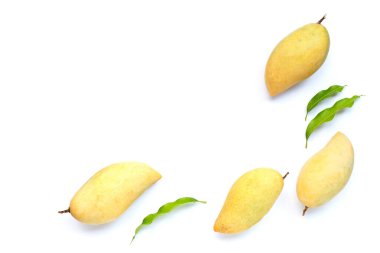 Tropik meyve, beyaz arka planda mango. Üst görünüm