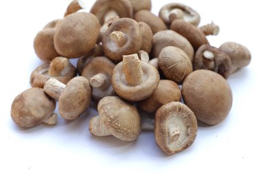 Beyaz arka planda taze shiitake mantarları.