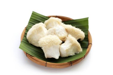 Beyaz arka planda taze aslan yelesi mantarı. (Yamabushitake Mantarı)