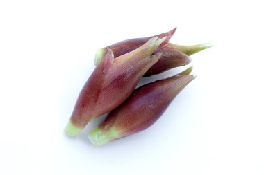 Beyaz arka planda taze myoga.