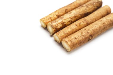 Beyaz arkaplanda Burdock Kökü (Gobo).