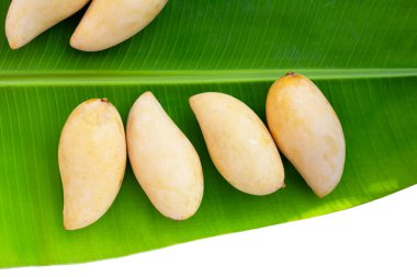 Olgun sarı mango meyveleri