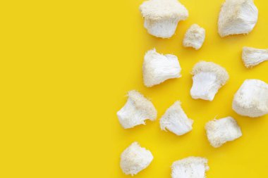 Sarı arka planda taze aslan yelesi mantarı. (Yamabushitake Mantarı)