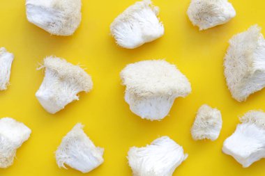 Beyaz arka planda taze aslan yelesi mantarı. (Yamabushitake Mantarı)