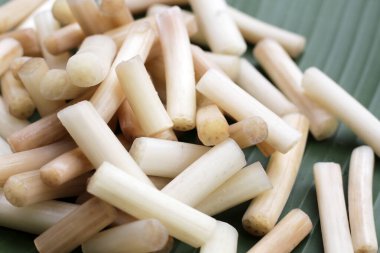 Muz yaprağında taze nilüfer kökü