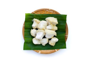 Beyaz arka planda taze aslan yelesi mantarı. (Yamabushitake Mantarı)