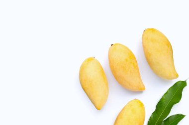 Tropik meyve, beyaz arka planda yaprakları olan mango..