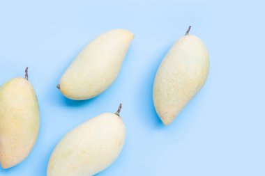 Tropik meyve, mavi arkaplanda mango..