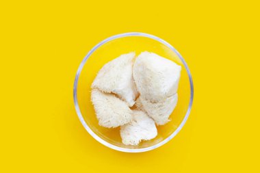 Sarı arka planda taze aslan yelesi mantarı. (Yamabushitake Mantarı)