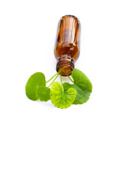 Beyaz arka planda gerekli şişe ile taze gotik kola yaprakları.